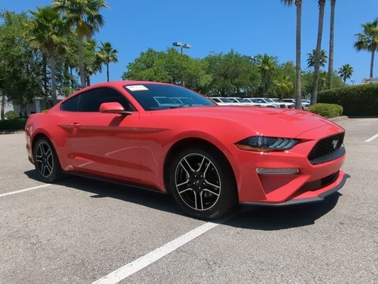 2020 Ford Mustang EcoBoost in Daytona Beach, FL - Daytona Auto Mall