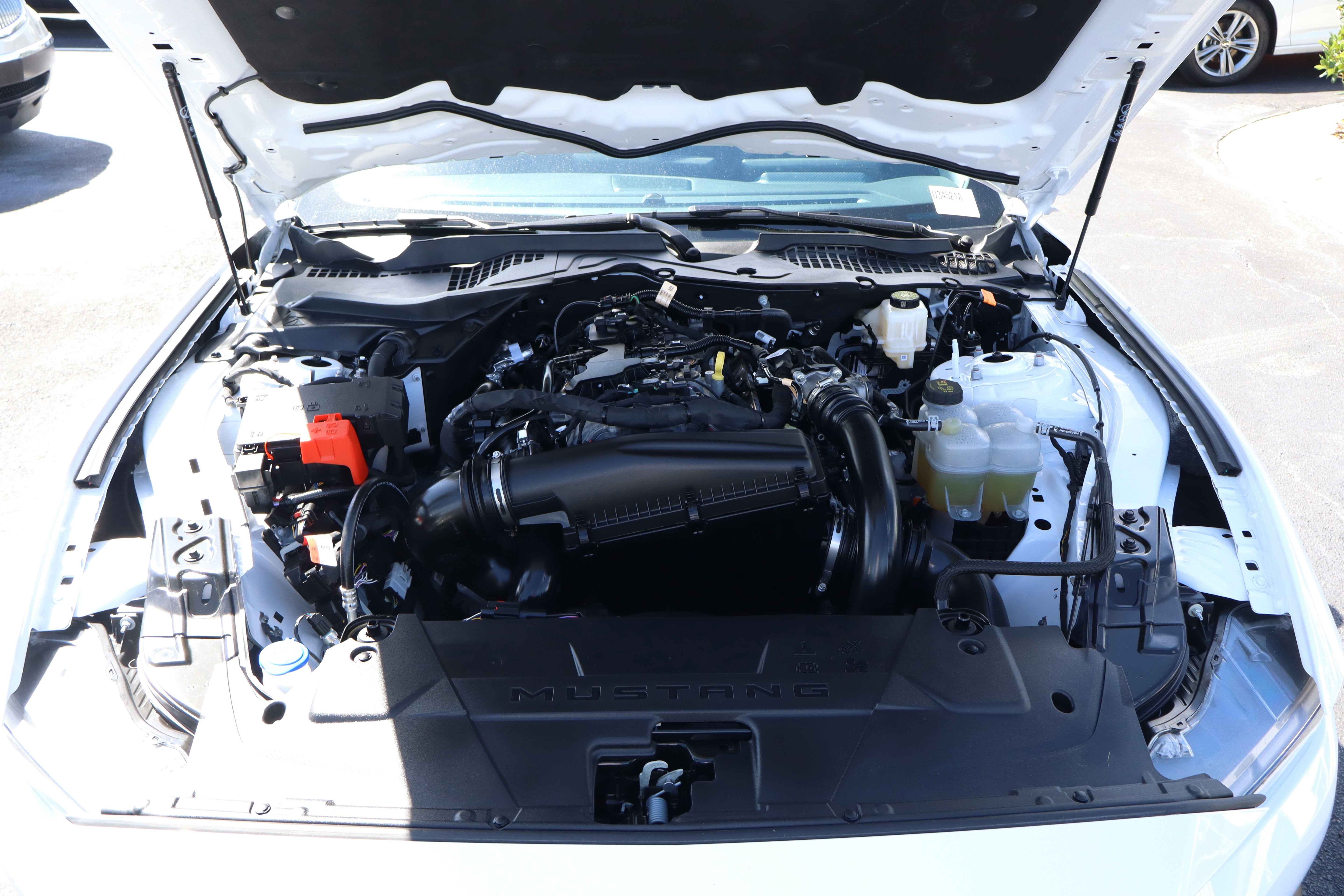 2025 Ford Mustang EcoBoost Fastback