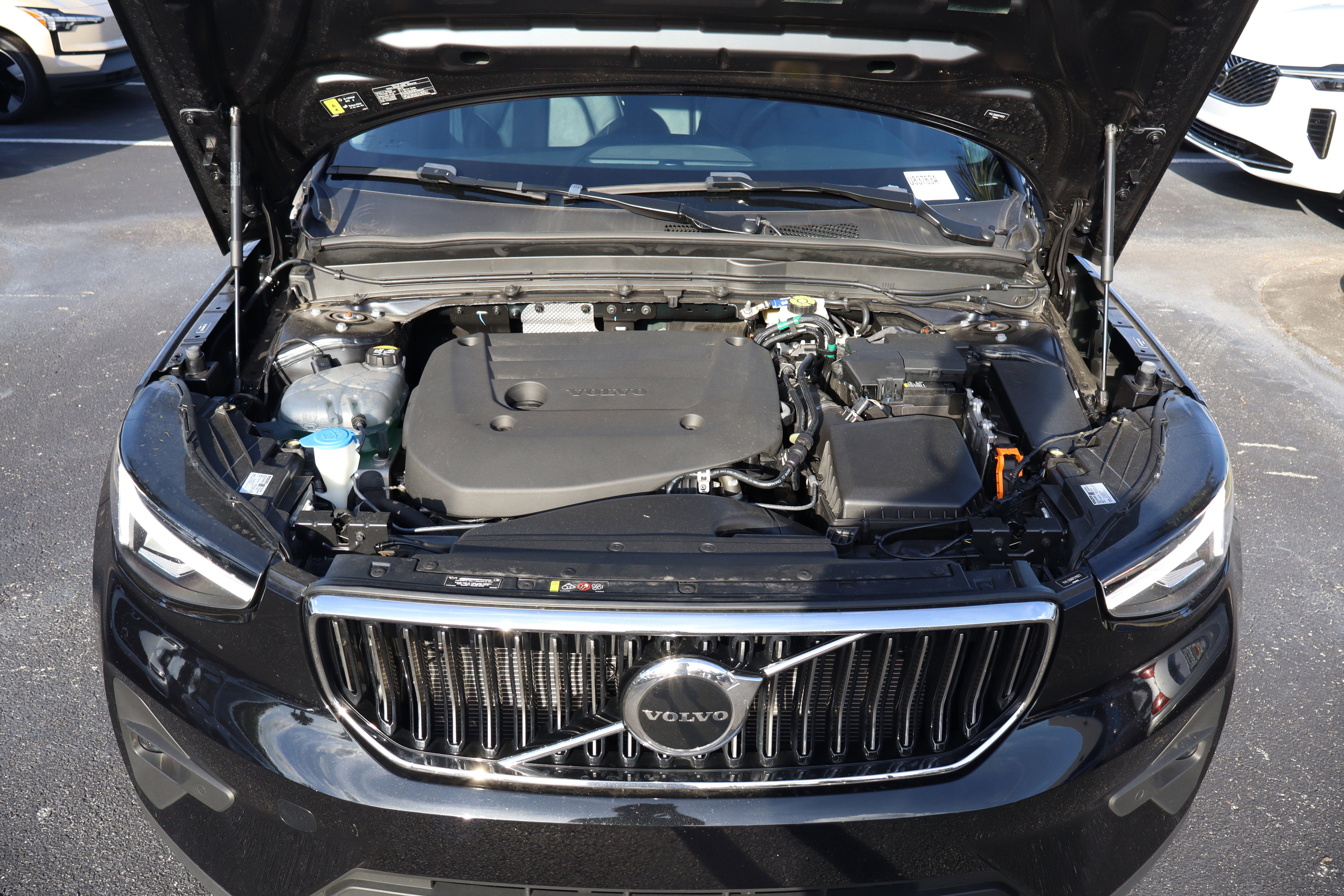 2023 Volvo XC40 Plus Bright Theme