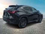 2024 Lexus NX NX 250 Premium