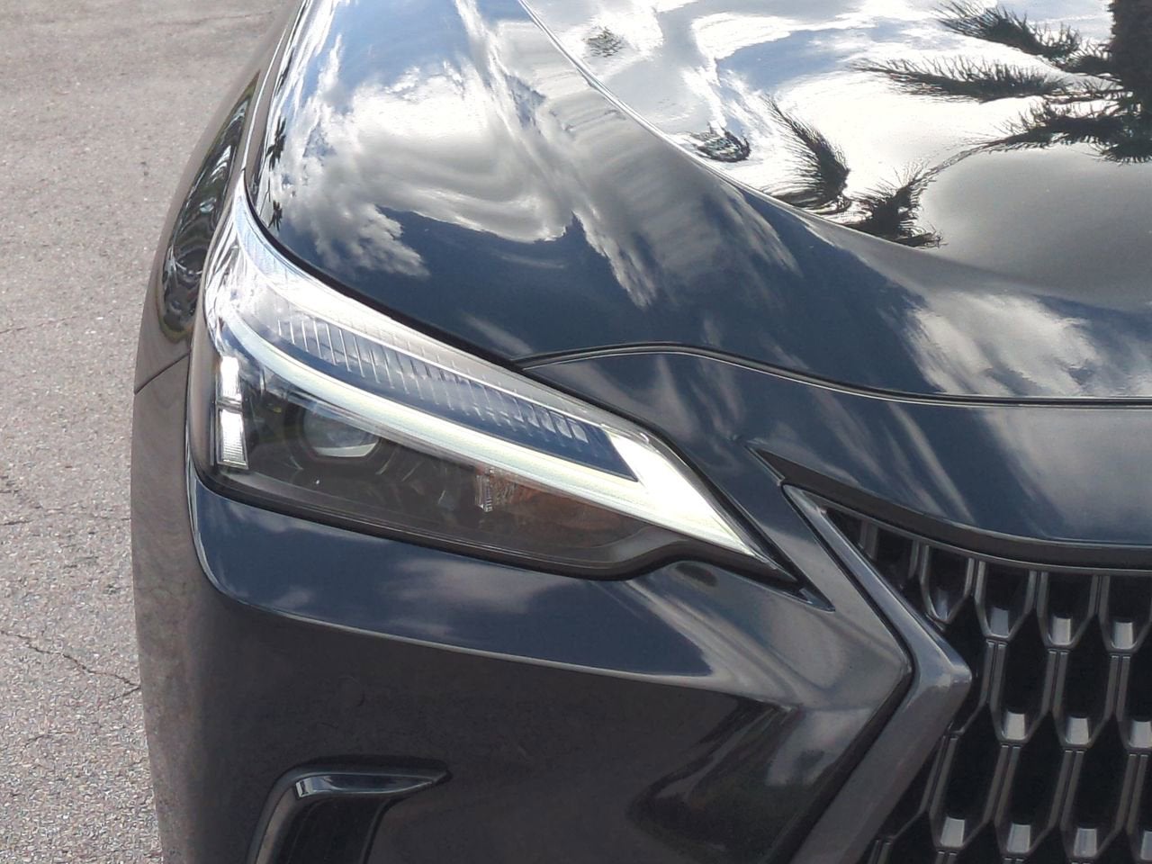 2024 Lexus NX NX 250 Premium