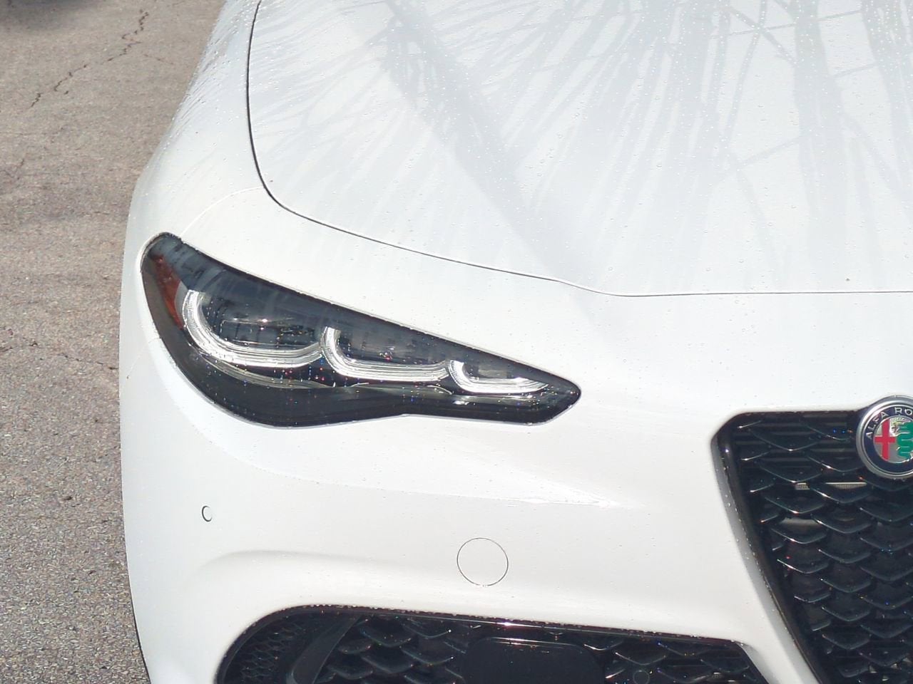 2024 Alfa Romeo Giulia Veloce