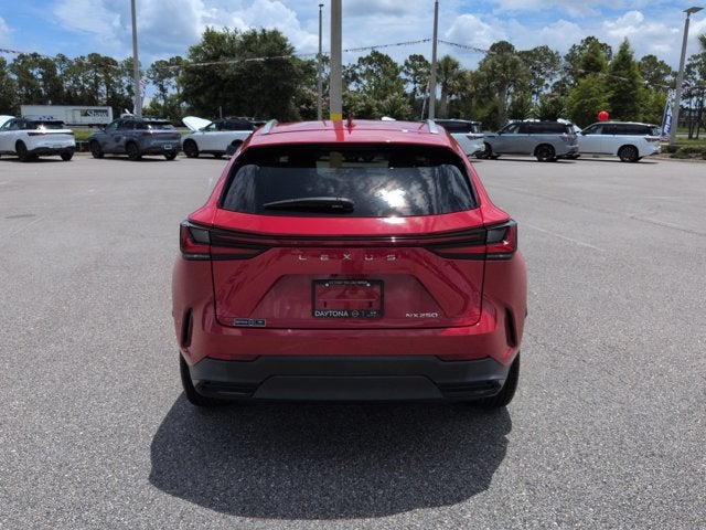 2024 Lexus NX 250 Premium