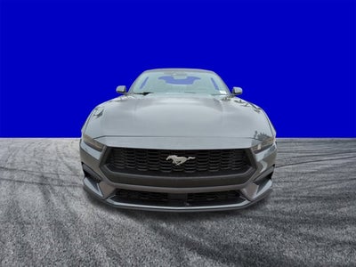 2026 Ford Mustang EcoBoost® Premium Fastback