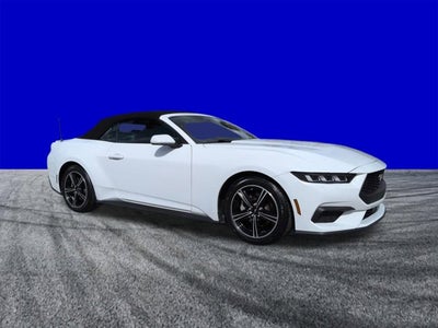 2024 Ford Mustang EcoBoost Premium