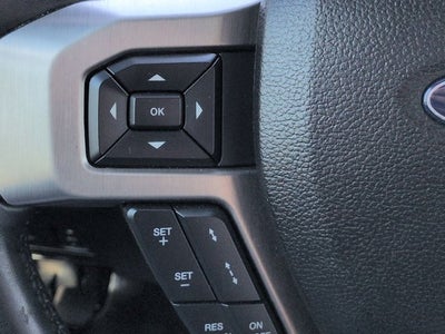 2017 Ford Super Duty F-250 SRW Platinum