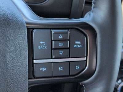 2026 Ford Super Duty F-250 SRW F-250® Platinum®