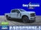 2026 Ford Super Duty F-250 SRW F-250® Platinum®