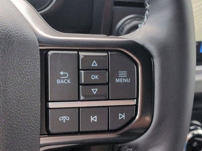 2026 Ford Super Duty F-250 SRW F-250® Platinum®