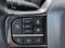 2025 Ford Super Duty F-350 DRW Platinum