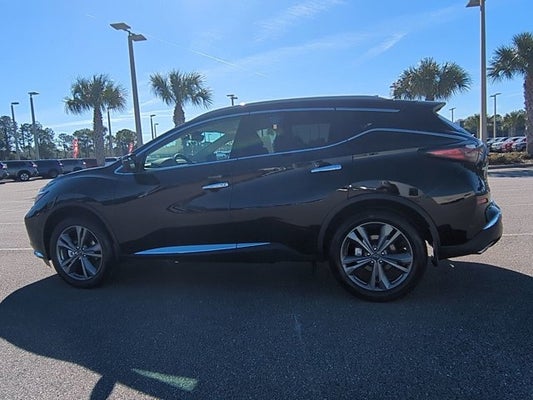 2024 Nissan Murano AWD Platinum in Daytona Beach, FL - Daytona Auto Mall