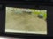 2026 Mercedes-Benz Sprinter Cargo Van 2500 Standard Roof I4 Diesel 144 RWD