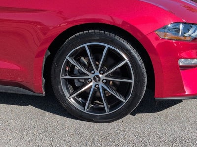 2023 Ford Mustang EcoBoost Premium