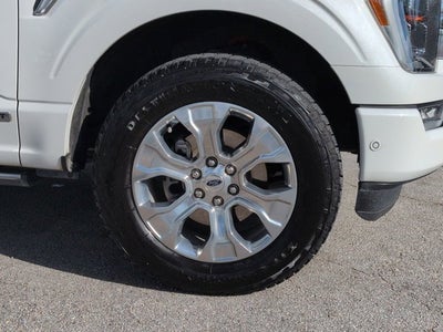 2021 Ford F-150 Platinum